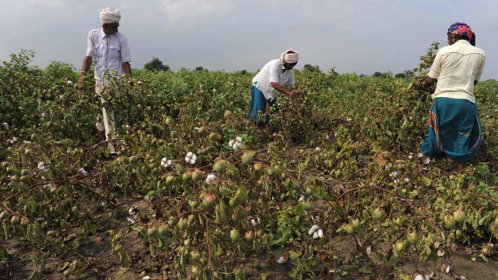 Soil Degradation Driving the Rise of Regenerative Agriculture https d2iztrg3kgqpue.cloudfront.net production 864163dc ce1c 4e99 a469 6a9a148b1f8a