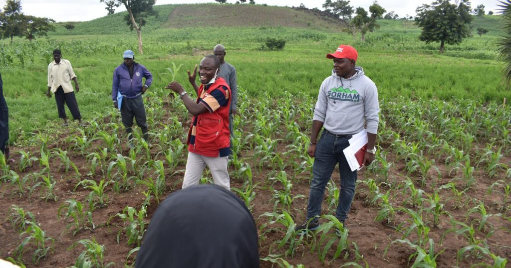 Face and Fate of Agriculture in Nigeria: A Grassroots Perspective nigeria 202108 mercycorps demo plot 6000x4000px