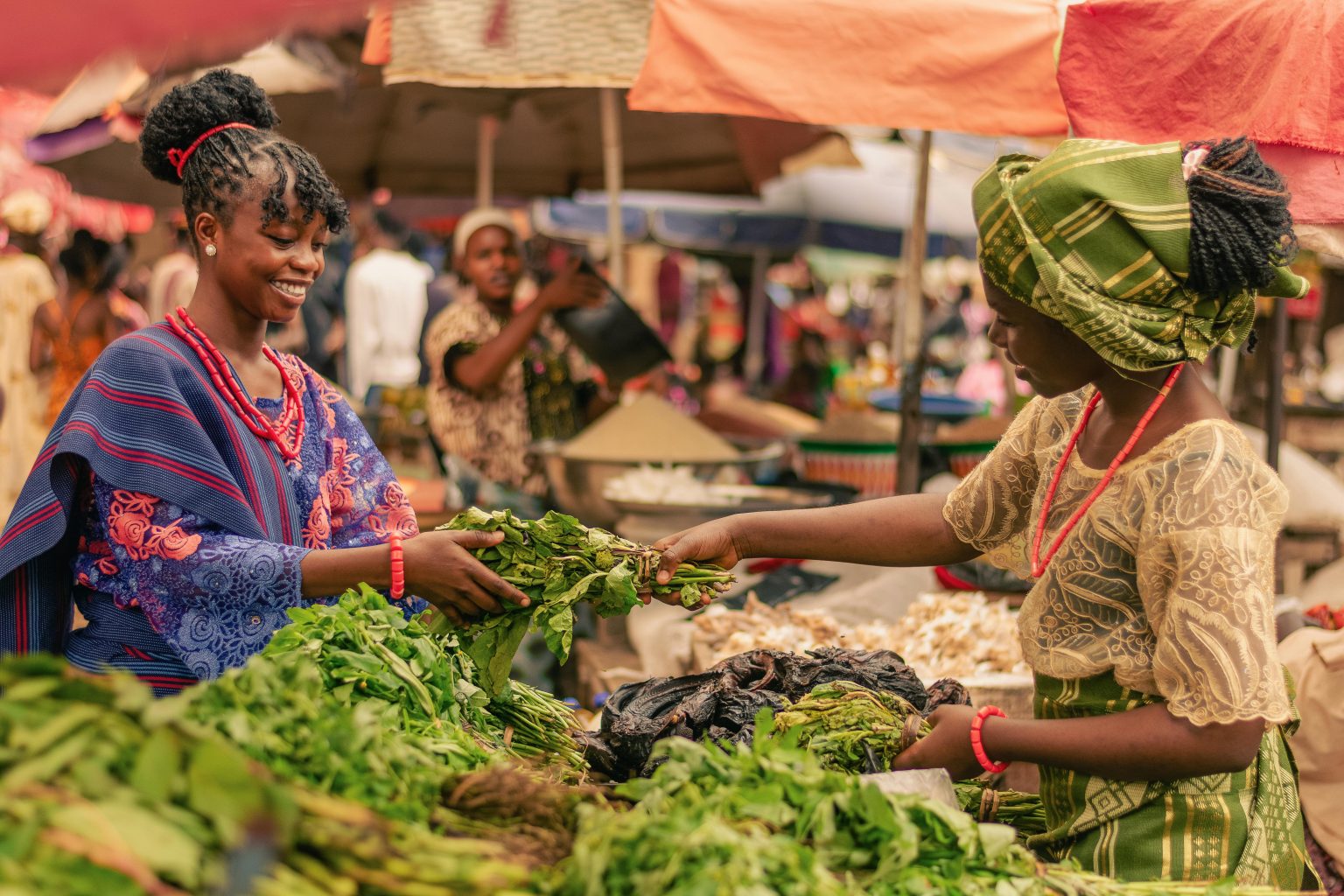 Women Dominate Nigeria’s Subsistence Farming, Face Structural Barriers – AFAN