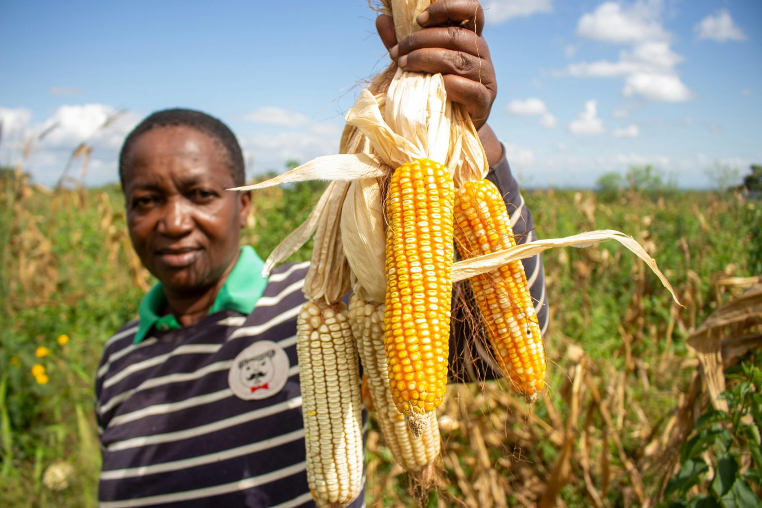 Nigeria Moves to Strengthen Agricultural Data Collection Through Digital Systems