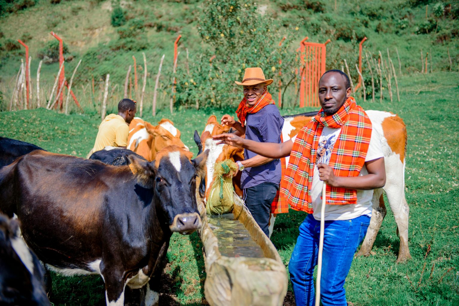 The Growing Impact of Artificial Intelligence on Agriculture in Nigeria and Kenya.