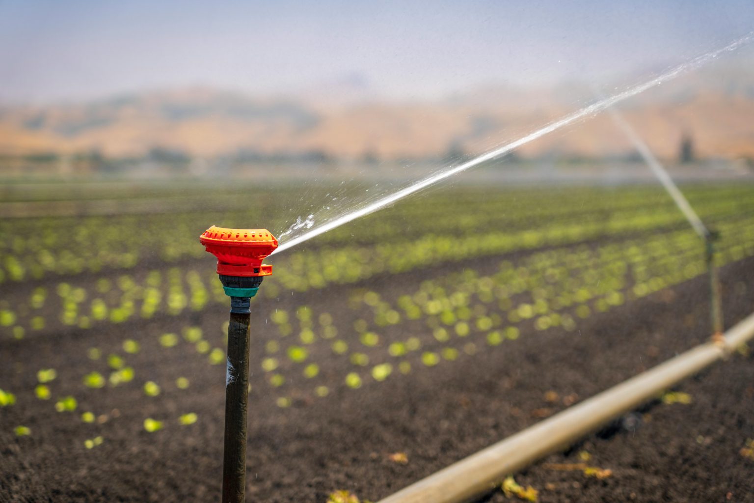 How Smarter Irrigation Is Transforming Farming in Northern Nigeria
