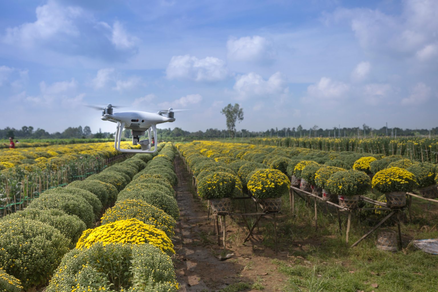 How Artificial Intelligence is Transforming Agriculture for Nigeria’s Smallholder Farmers