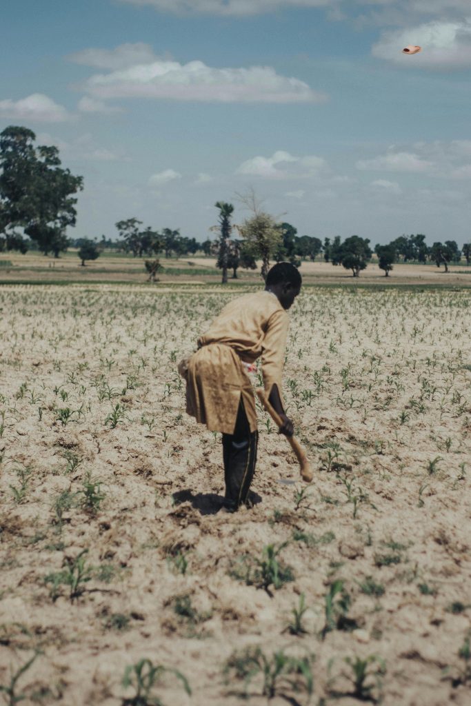 A farmer working in a dry field under a blue sky, cultivating with a simple tool.