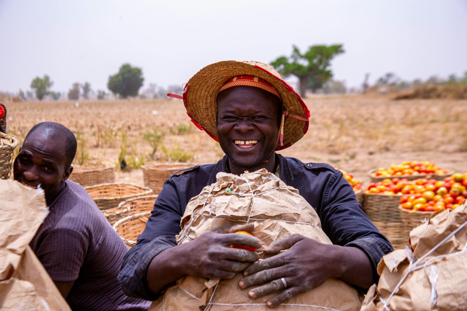 Middlemen and Weak Policies Continue to Hurt Nigerian Farmers.