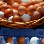 egg, eggs, hen's egg, egg box, packaging, close up, egg basket, egg carton, brown egg, raw egg, brown eggs, food, egg packaging, lots of eggs, farm shop, organic eggs, agriculture, natural product, nourishment, egg shells, meal, market, farmers local market, egg, egg, egg, egg, egg, eggs, eggs, eggs, eggs