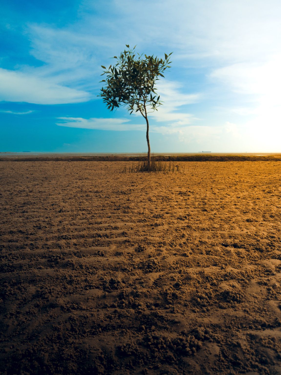When Climate Stress Meets Religious Divide in Farmer–Herder Conflict