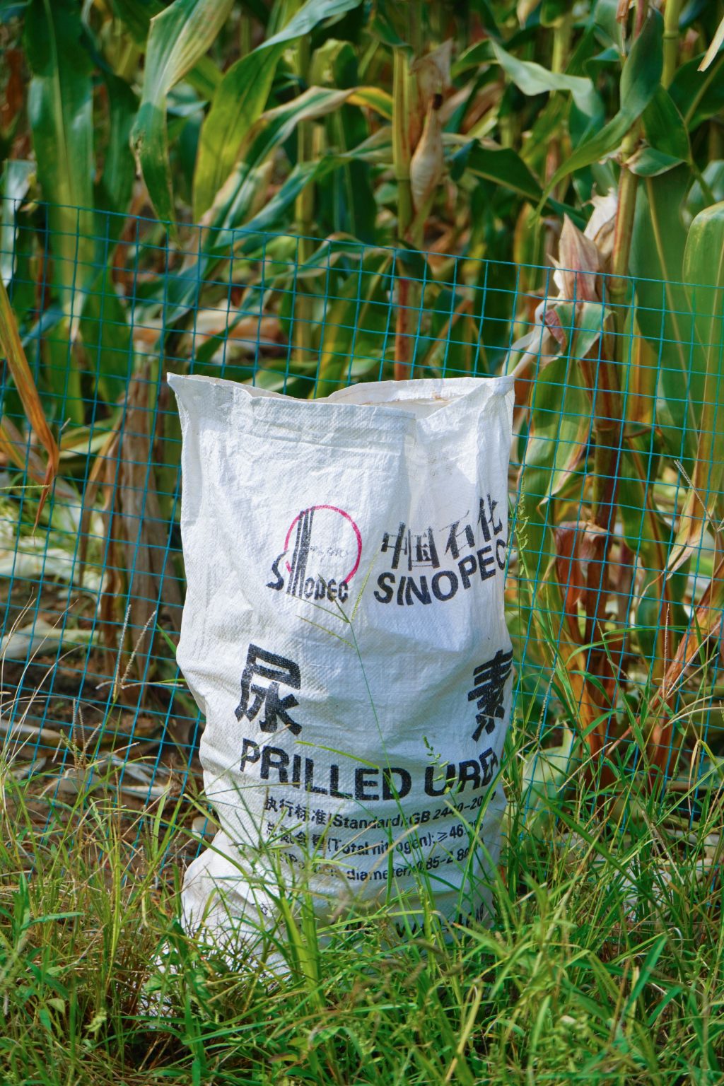 Nigeria Secures 449,000 Metric Tonnes of Fertiliser Inputs to Strengthen Food Security
