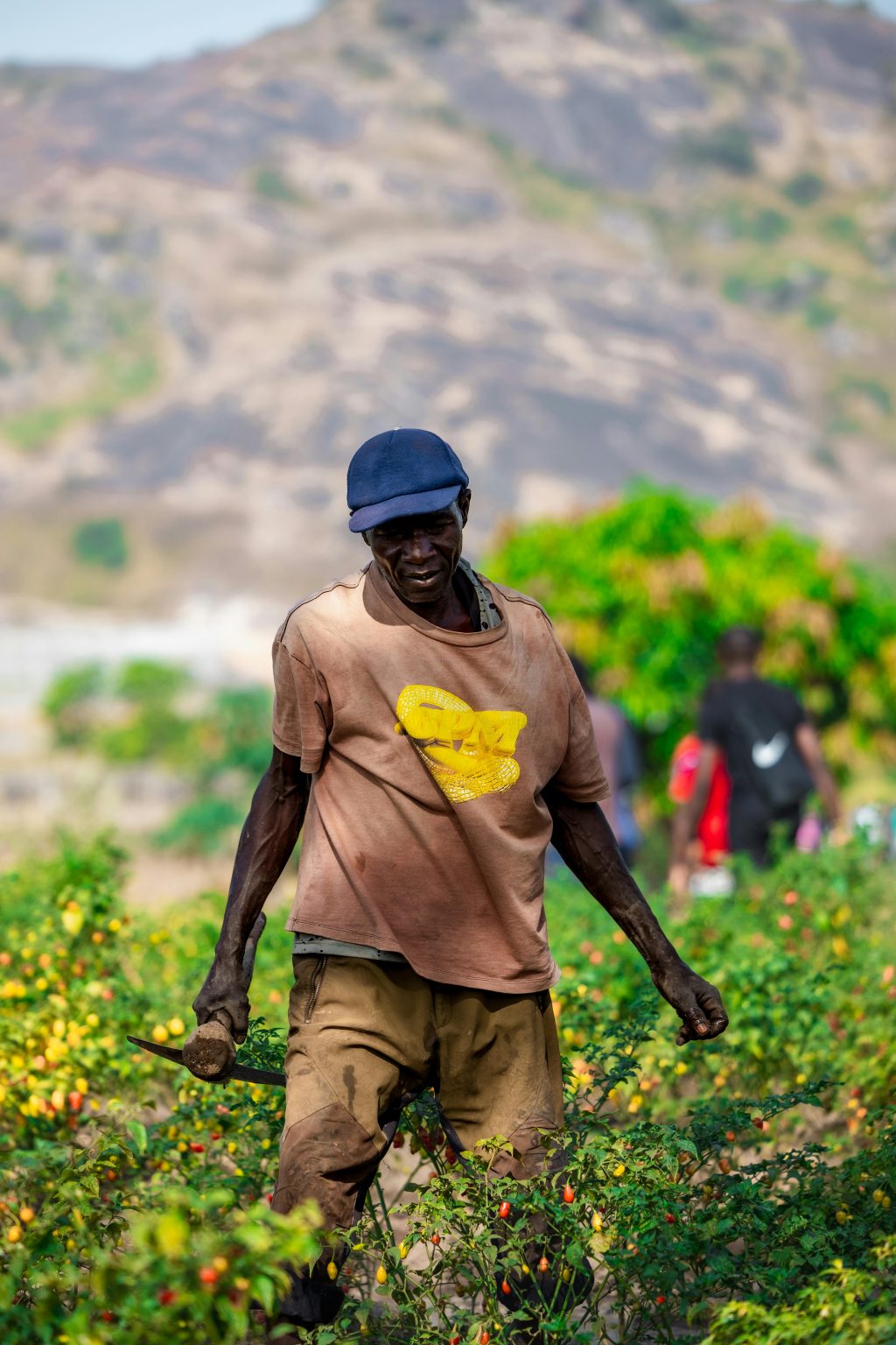 Hidden Reasons Farmers Are Still Poor in Nigeria