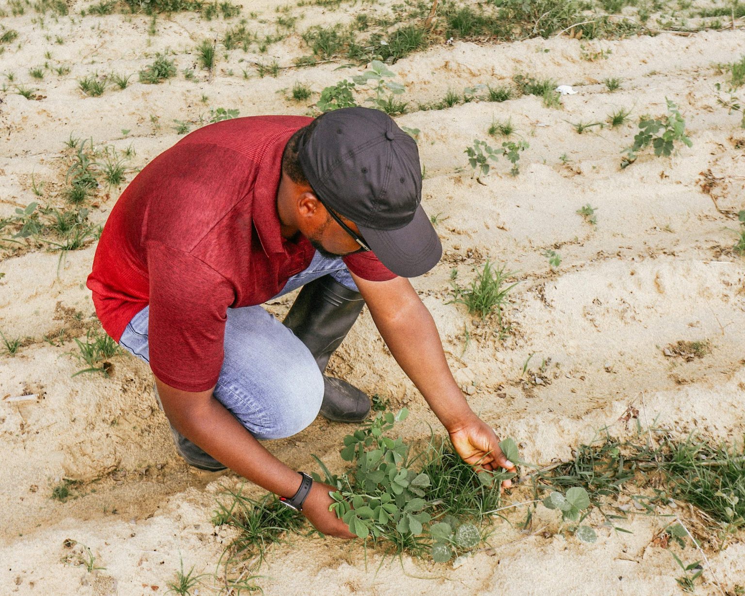 Nigeria’s Agricultural Transformation Under Tinubu: Success in Markets, Struggles on Farms