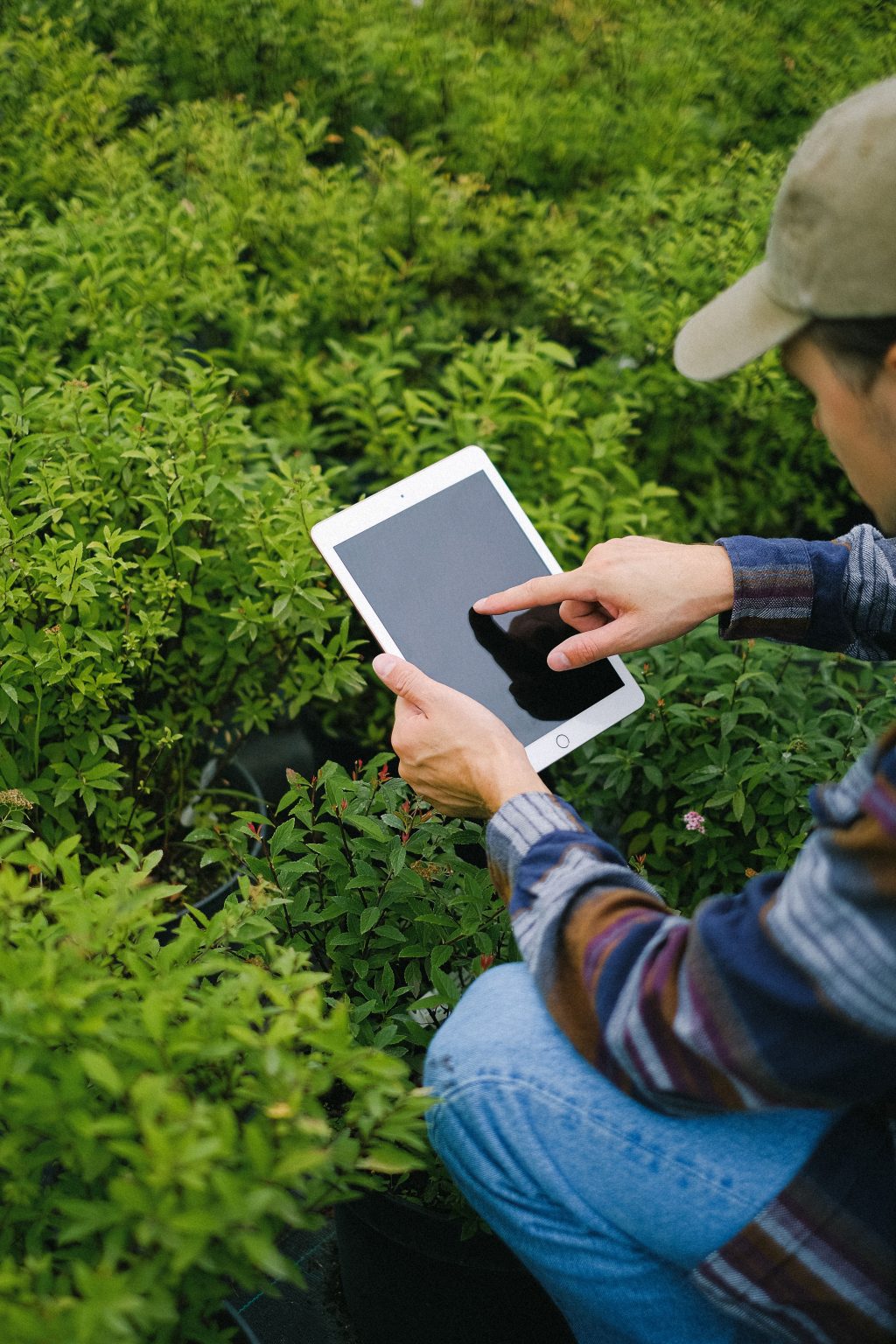 How Data Will Transform Nigeria’s Agricultural System — Ibrahim Muhammed