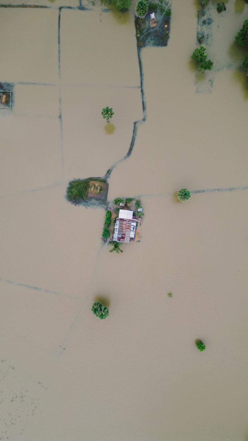 Lagos Flood: How Farmers Can Protect Their Crops and Livestock During the Rainy Season