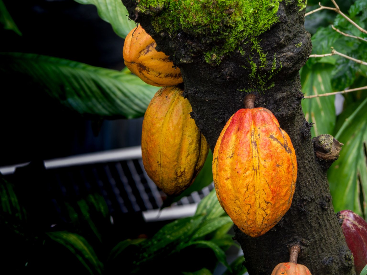 Nigeria Launches Bold Drive to Transform Niger Delta into an Agricultural Investment Hub