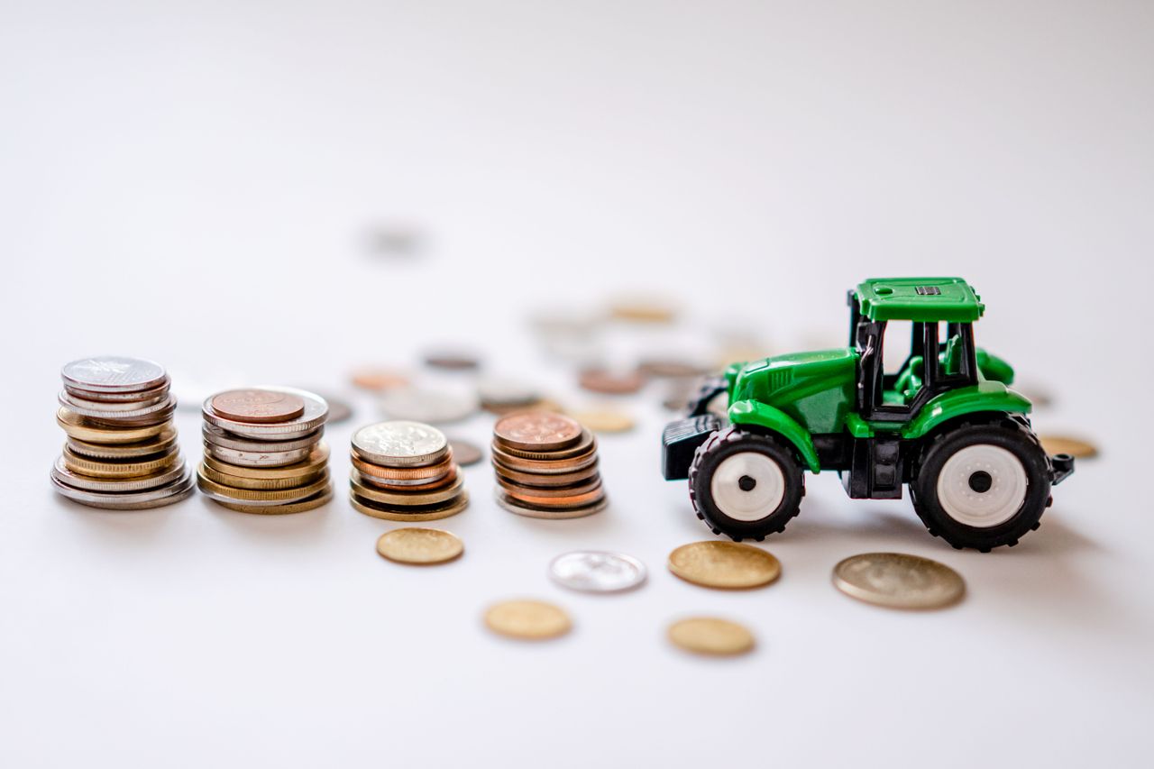 Why Financing, Not Farming, Is Nigeria’s Real Agricultural Frontier