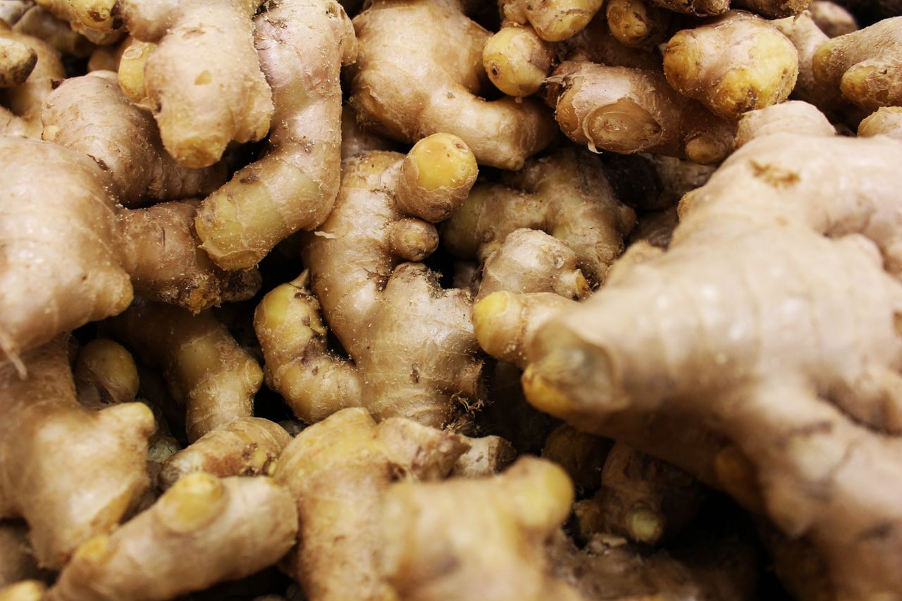 How to Grow Ginger in Nigeria